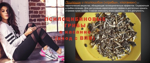 не бодяженный Абаза