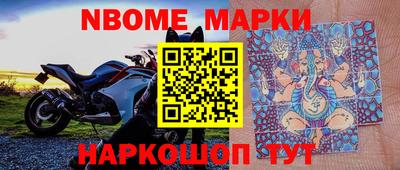 ECSTASY Новозыбков