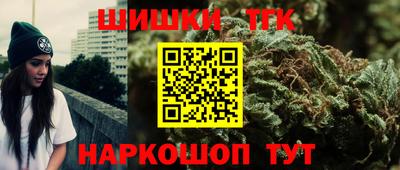 ECSTASY Новозыбков