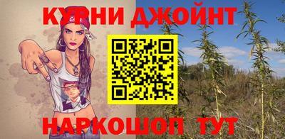 ECSTASY Новозыбков