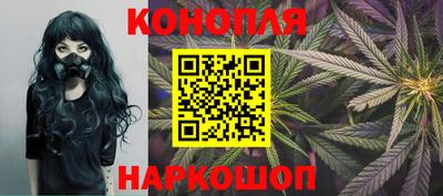 ECSTASY Новозыбков