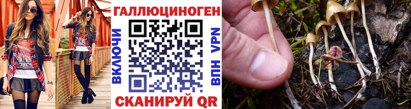 Галлюциногенные грибы мицелий  где можно купить   Туапсе 