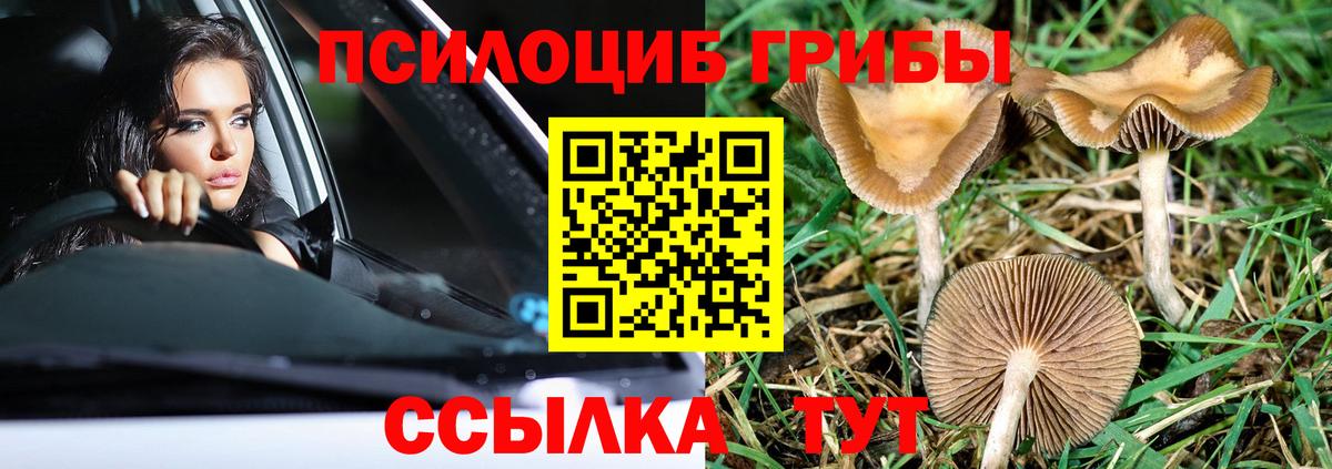 Туапсе  Псилоцибиновые грибы Psilocybe  Вход с VPN 